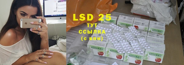 стафф Майский