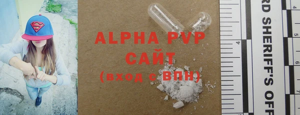 прущие грибы Анжеро-Судженск