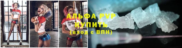 стафф Майский