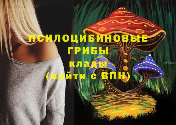 тгк Магас
