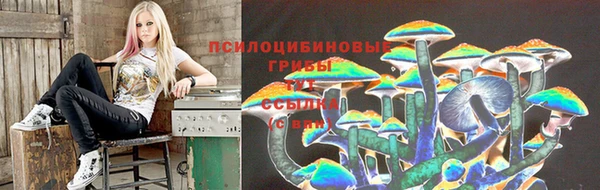 стафф Майский