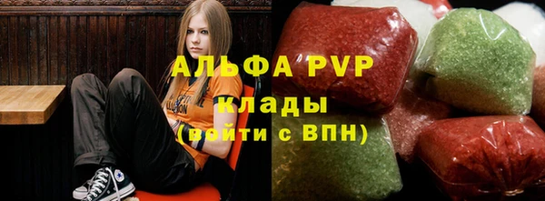 тгк Магас