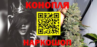 ALPHA-PVP Партизанск