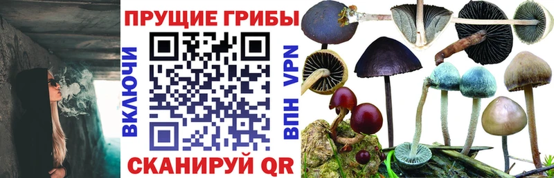 Псилоцибиновые грибы Magic Shrooms  что такое наркотик  Благовещенск 