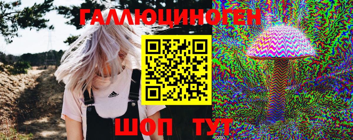 Галлюциногенные грибы Magic Shrooms  Галлюциногенные грибы ЛСД  Вход с VPN  даркнет сайт  Благовещенск 